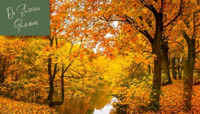 پاییز؛ فصل طلایی برای عمل بینی